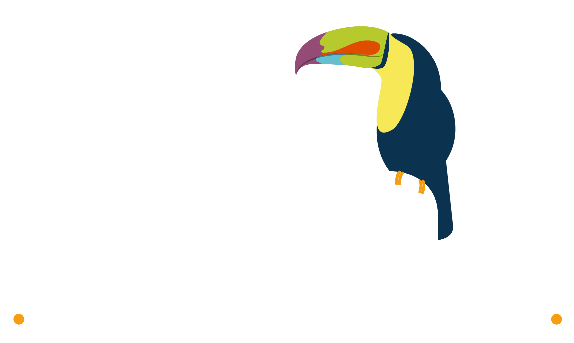 Amak Travel